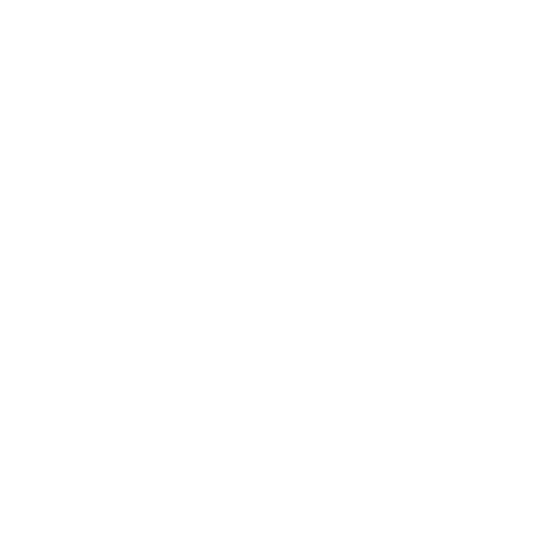Charter Flight