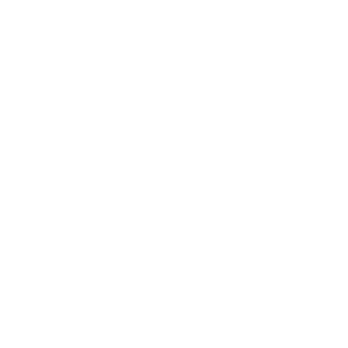 Private Jet